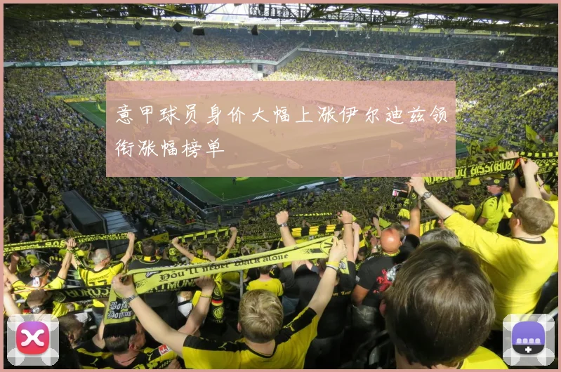 意甲球员身价大幅上涨伊尔迪兹领衔涨幅榜单