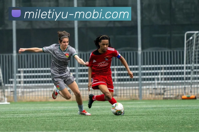 米乐体育发展历程